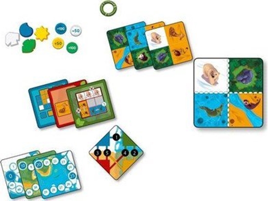 Picture of Lucky Duck Games Gra Nimalia