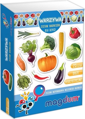 Picture of Maksik Magnesy Warzywa MV 6032-12