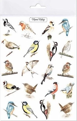 Изображение Mama Maluje Tatuae zmywalne Ptaki