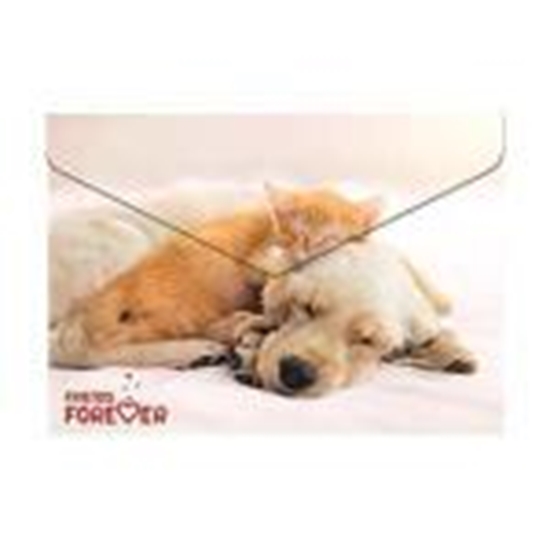 Picture of Mape ar pogu A4 FRIENDS