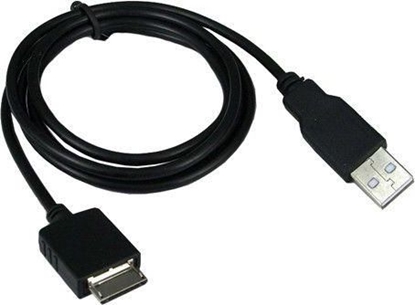 Picture of Massa Kabel adowarka USB Sony Walkman MP3 MP4 WM-PORT (SB4300)