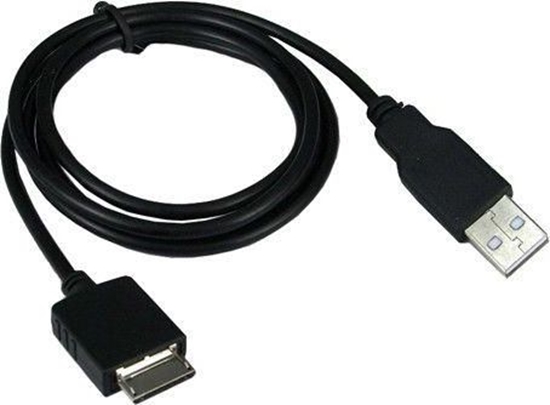 Picture of Massa Kabel adowarka USB Sony Walkman MP3 MP4 WM-PORT (SB4300)