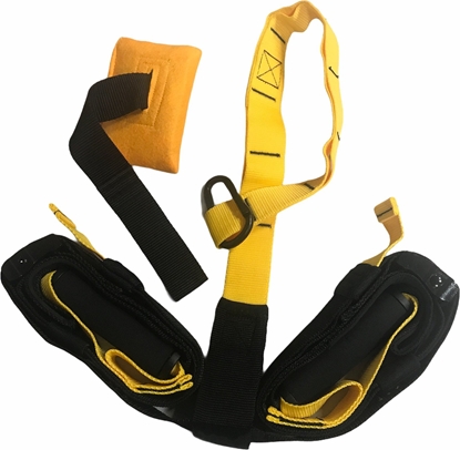 Picture of Master Tamy do wicze Pasy Treningowe MASTER Trainer