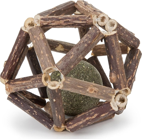 Picture of Matatabi & Kocimitka grzechotka