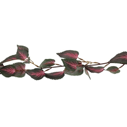 Picture of Mākslīgie augi 4Living Coleus vītenis