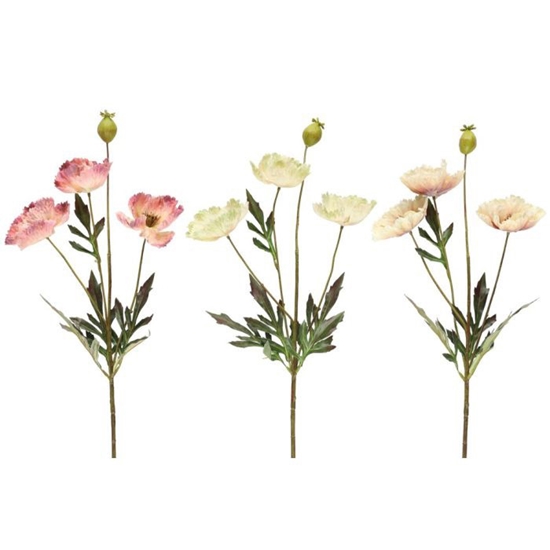 Picture of Mākslīgie ziedi 4Living Magones 3-ziedu