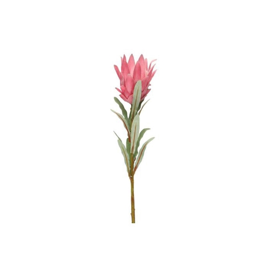 Picture of Mākslīgie ziedi 4Living Protea zars 69cm