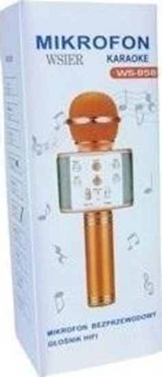 Picture of Mikrofon W&K Mikrofon zabawkowy JYWK369-1 zoty