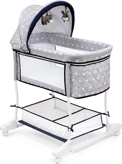 Picture of Milly Mally Milly Mally Koyska Dream On - STAR