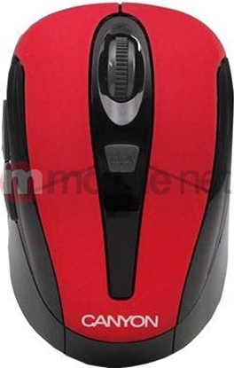 Picture of Mysz Canyon  (CNRMSOW06R)