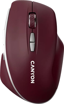 Picture of CANYON CNS-CMSW21BR