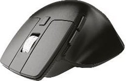 Picture of Tracer 47420 Wireless Optical Mouse Slick Silent RF