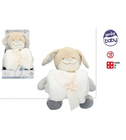 Picture of Mīksta rotaļlieta Suns 25 cm + pleds 0+ CB34018