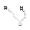 Picture of MONITOR ACC DESK MOUNT 17-32"/DUAL DS70-250WH2 NEOMOUNTS