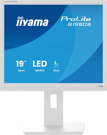 Изображение Monitor iiyama ProLite B1980S-W1
