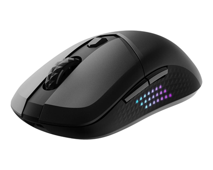 Attēls no MOUSE USB OPTICAL WRL GAMING/VERSA 300 ELITE W MSI