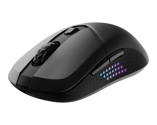 Изображение MOUSE USB OPTICAL WRL GAMING/VERSA 300 ELITE W MSI