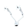 Изображение Neomounts by Newstar monitor arm desk mount