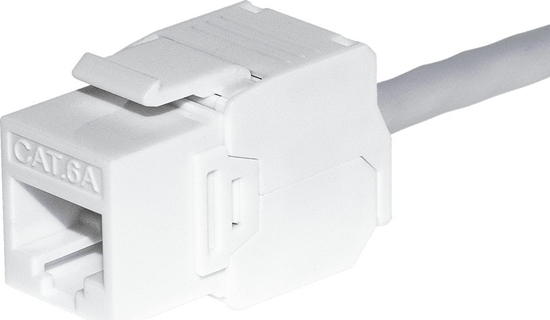 Picture of NetRack Modu keystone Jack RJ45 kat. 6A UTP, beznarzdziowy, biay Netrack