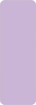 Picture of NIIMBOT Niimbot Thermal Stickers 14x40 160 pcs. (Purple)