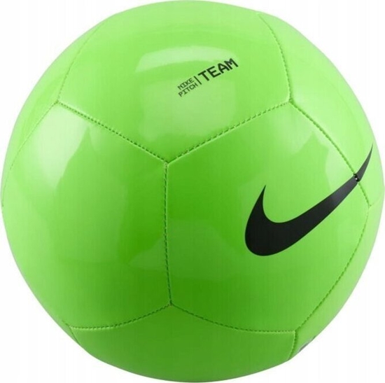 Picture of Nike Pika Nike Pitch Team FZ7553-359