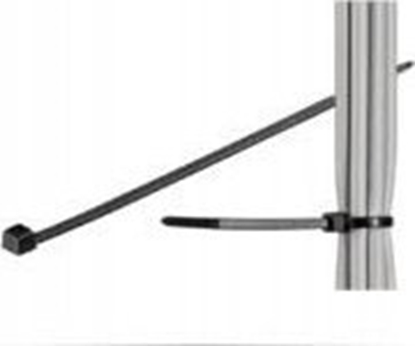 Picture of Organizer MicroConnect Cable tie 100pcs Black, 292mm