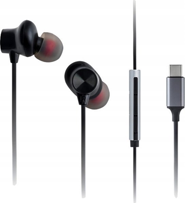 Изображение Panasonic RP-TCM225DEK schwarz