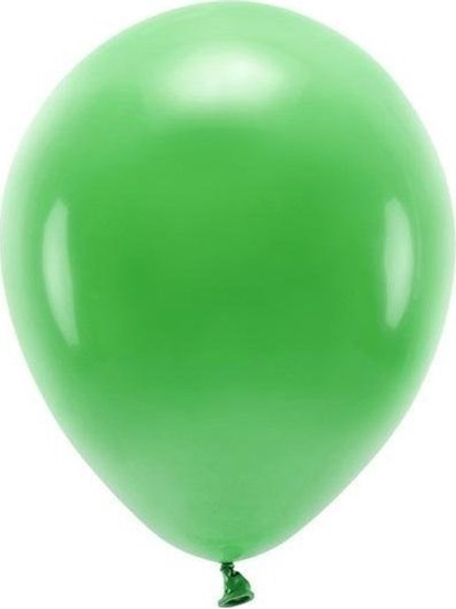 Picture of PartyDeco Balony Eco zielona trawa 30cm 10szt