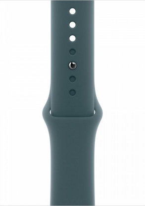 Изображение Pasek sportowy w kolorze górskiego jeziora do koperty 46 mm - rozmiar M/L