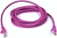 Attēls no Patchcord CAT5e, 0,25m, magenta (95208)