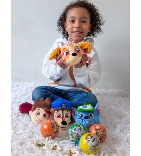 Picture of Pārsteiguma bumba Ķepu patruļa (metāla bumba + plīša rotaļlieta skvišs + uzlīmes + grāmatiņa) CB39047