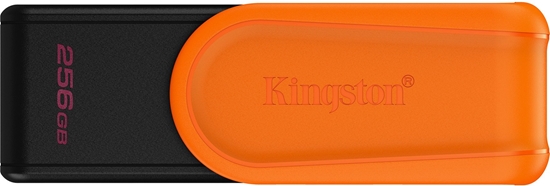 Изображение Pendrive Kingston DataTraveler Exodia S, 256 GB  (DTXS/256GB)