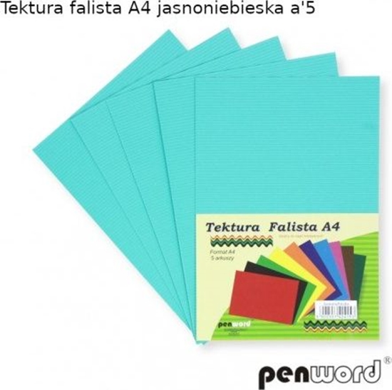 Picture of Penword Tektura falista A4 5ark. - jasnoniebieska Penword TARGI