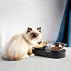 Изображение PETKIT Fresh Nano Metal 15 Grad Adjustable Cat Feeding Bowl