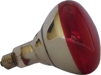 Picture of Philips infrared lamp BR125 IR 150W E27 230-250V Red