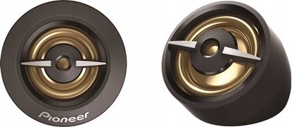 Picture of Pioneer TS-A301TW