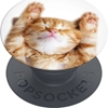 Picture of Popsockets Popsockets 2 Snoozy Cat Holder and Phone Stand