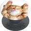 Изображение Popsockets Popsockets 2 Snoozy Cat Holder and Phone Stand