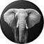 Picture of PopSockets POPSOCKETS Loxodonta Africana (gen2) standard