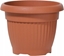 Attēls no Prosperplast Doniczka TERRA DCE35 Terakota