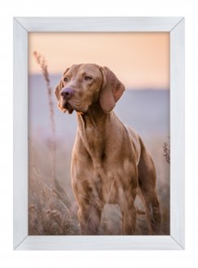 Picture of Ramka Woodflow FrameFlip A3 - drewno bielone