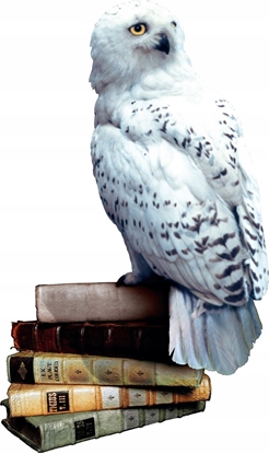 Picture of Rebel Gra planszowa Harry Potter i Czytacz Myli