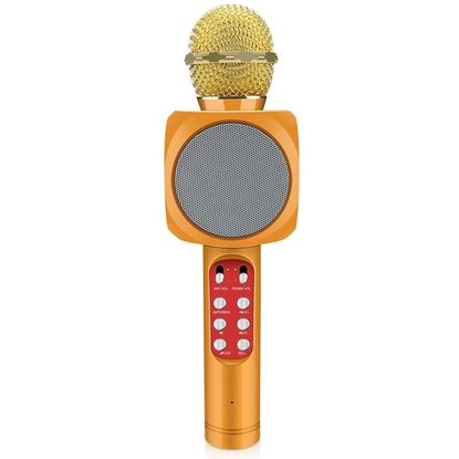 Attēls no Riff WS-1816 16W karaoke BT mikrofons ar LED 360 Gold