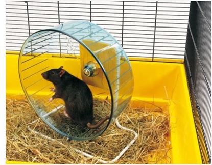 Picture of Savic KOOWROTEK ROLLY GIANT+STOJAK