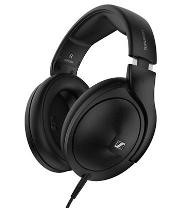 Picture of Sennheiser HD 620s