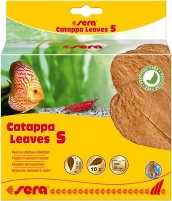 Изображение Sera Licie migdaecznika - Catappa Leaves S, 14 cm, 10szt/OPAK