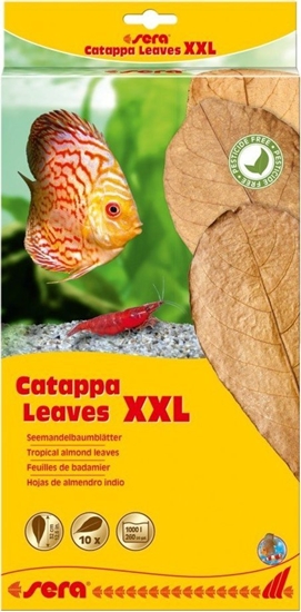 Изображение Sera Licie migdaecznika - Catappa Leaves XXL, 32 cm, 10szt/OPAK