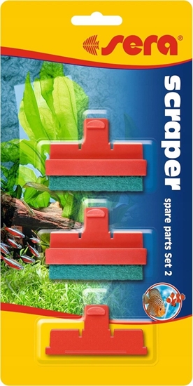 Picture of Sera Wymienne ostrza do skrobaków scraper, zestaw 2 -1x ostrze (akryl), 2xgbka