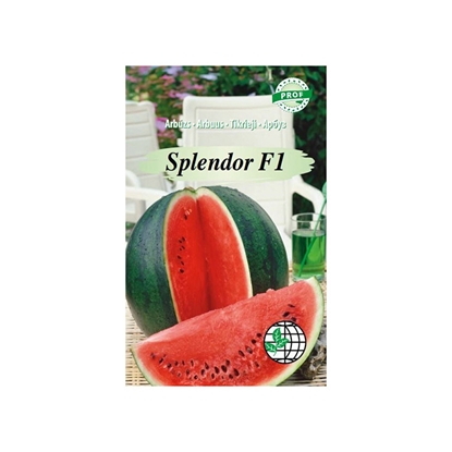 Attēls no Sēklas Arbūzs Splendor F1, 5gab.