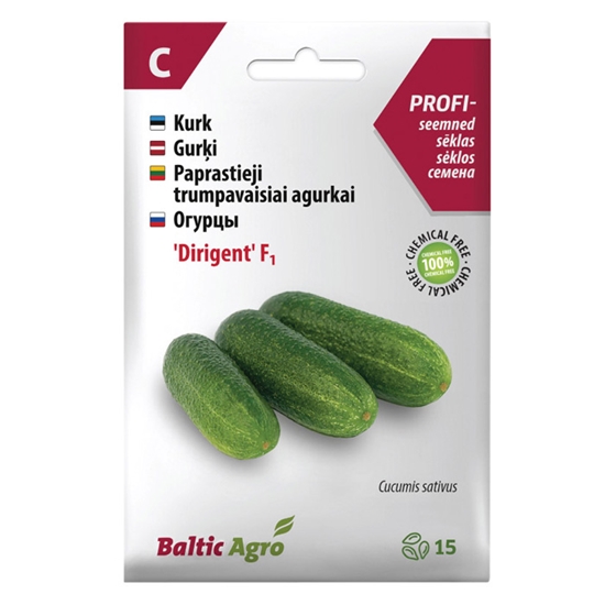 Picture of Sēklas Gurķi Dirigent F1 15 tk